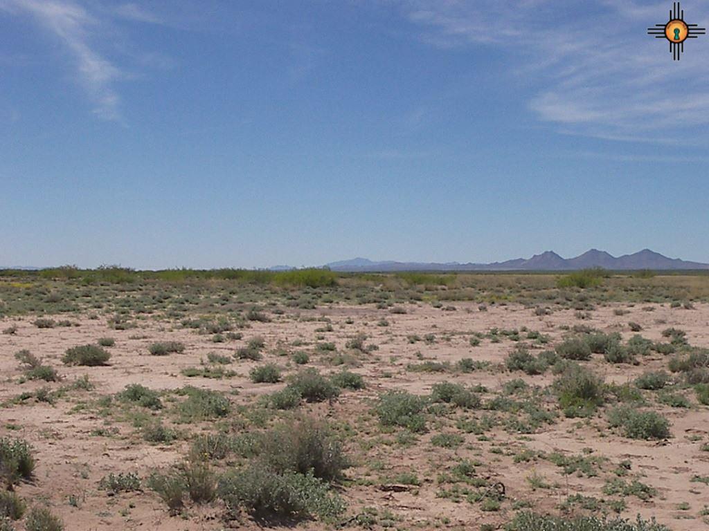 SVR Unit 13 Bk 17 Lots 15,16, Deming, NM 88030