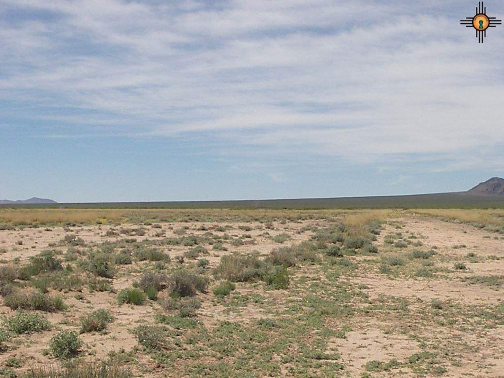 SVR Unit 13 Bk 17 Lots 15,16, Deming, NM 88030
