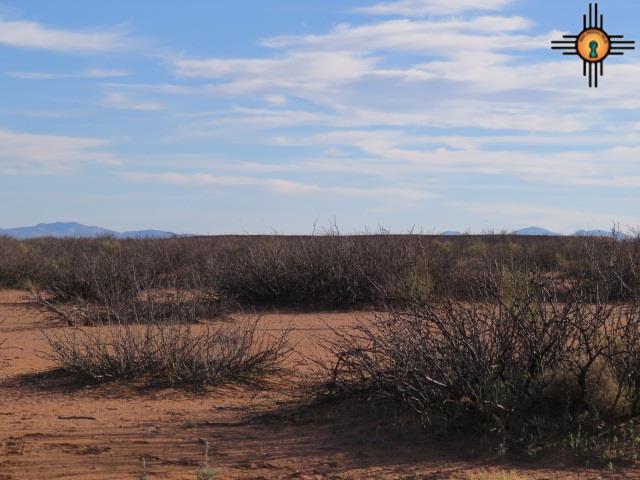 000 Tempo Rd SW, Deming, NM 88030