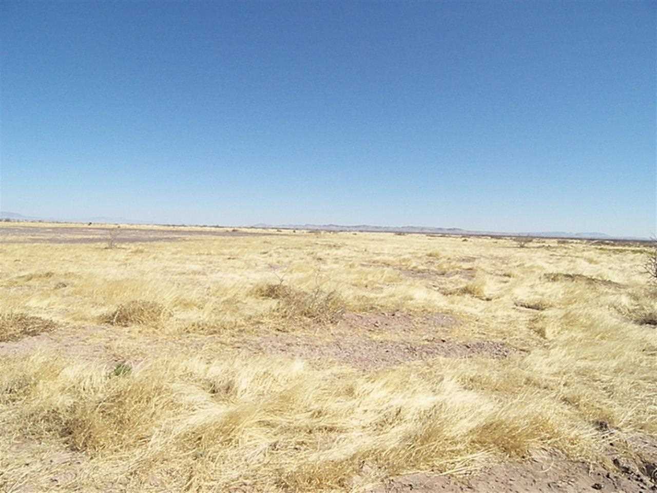 - DR Unit 113, Deming, NM 88030