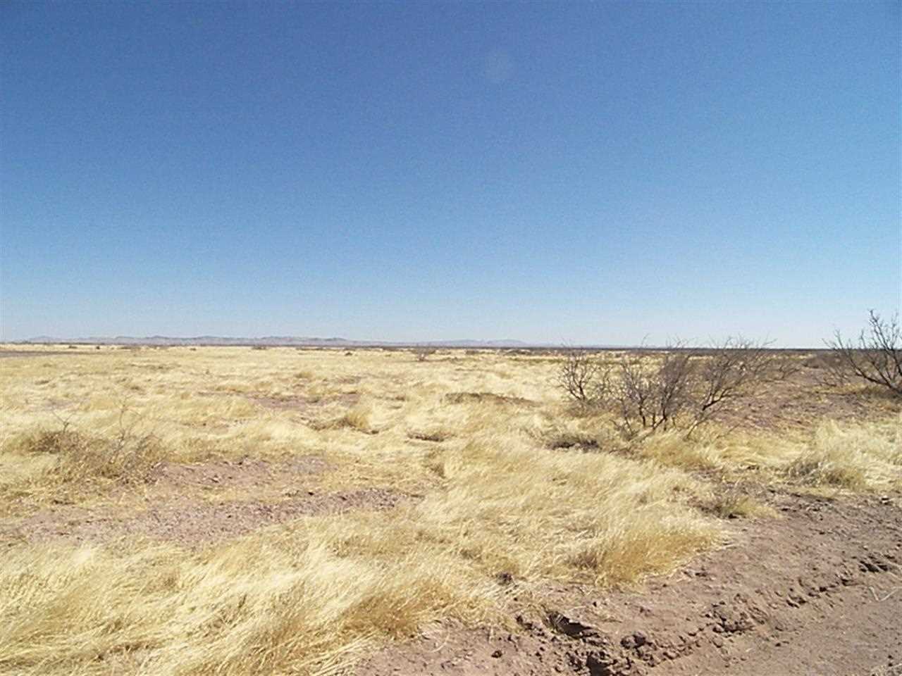 - DR Unit 113, Deming, NM 88030