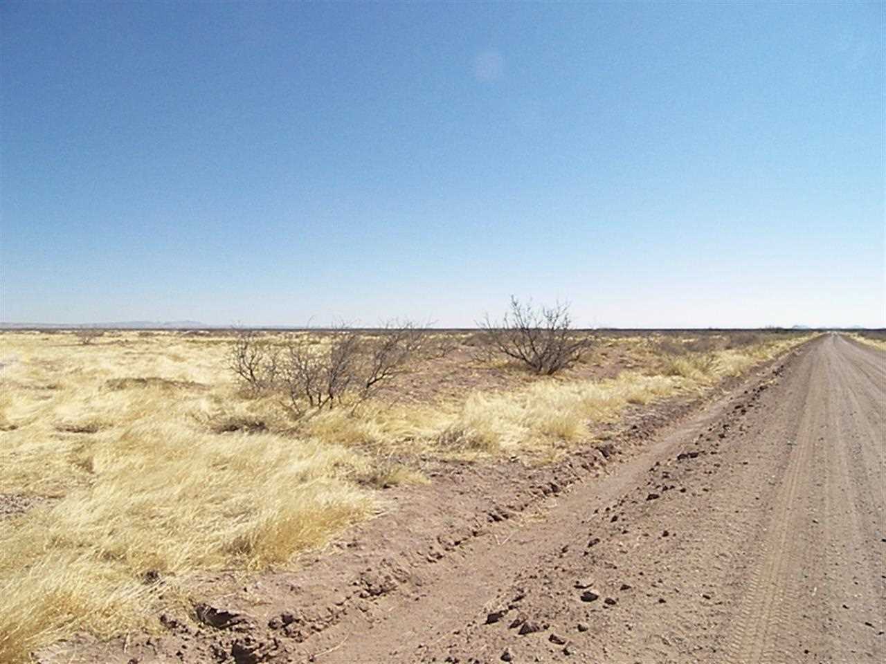- DR Unit 113, Deming, NM 88030