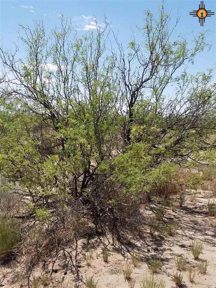 Deming, NM 88030
