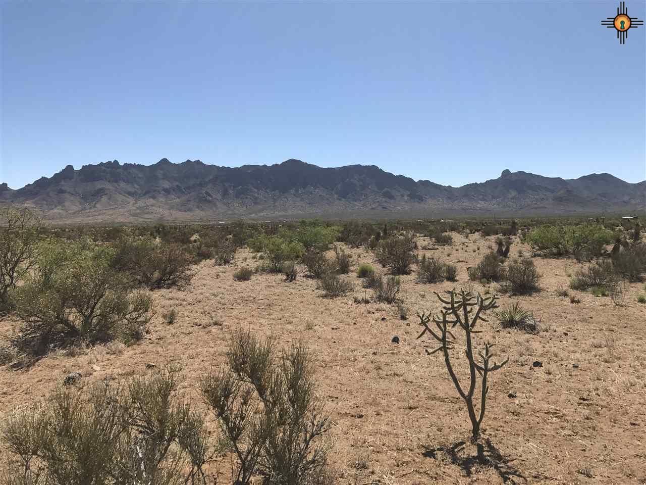 0000 Tapia SE, Deming, NM 88030