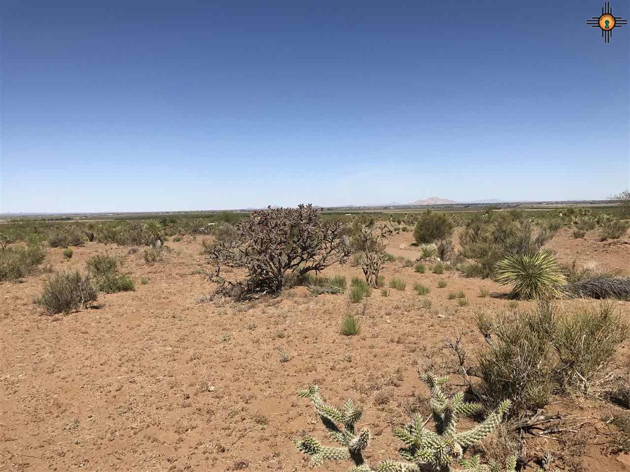 0000 Tapia SE, Deming, NM 88030