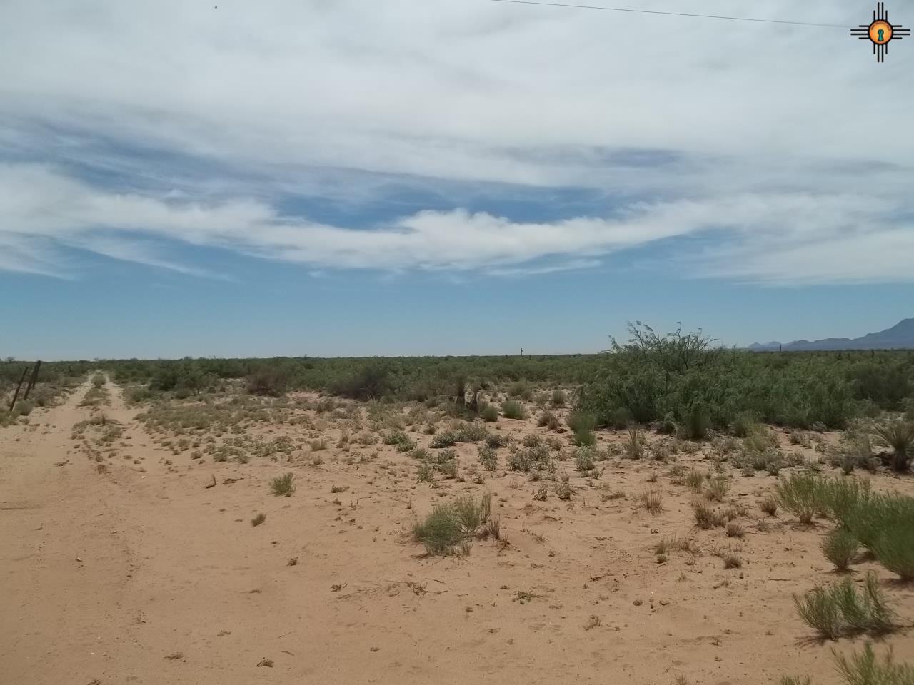 XXXX Conejo RD SE, Deming, NM 88030