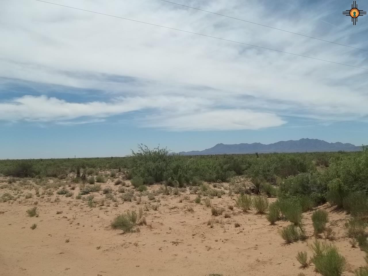 XXXX Conejo RD SE, Deming, NM 88030