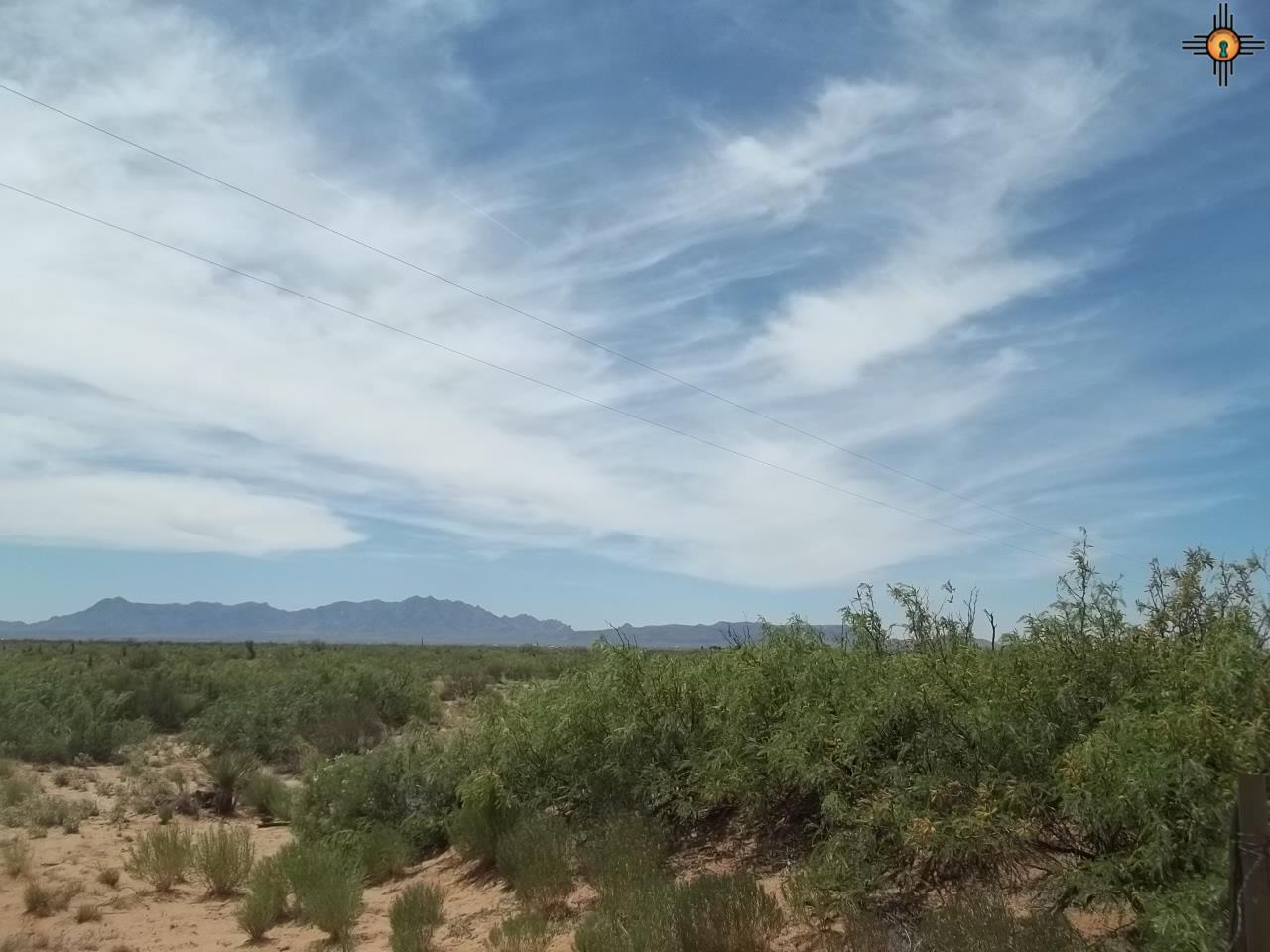 XXXX Conejo RD SE, Deming, NM 88030