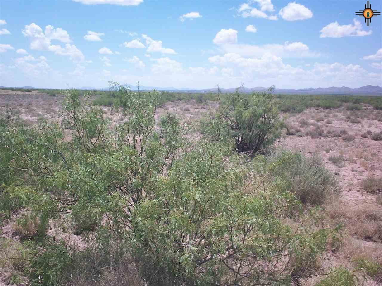 Pancho Villa Ranches Lot 8, Deming, NM 88030