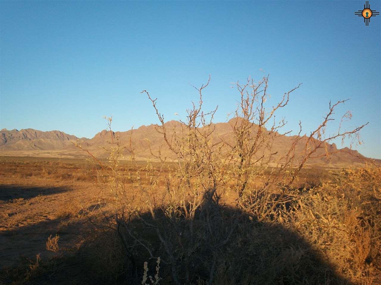 0000 Salvador Road SW, Deming, NM 88030