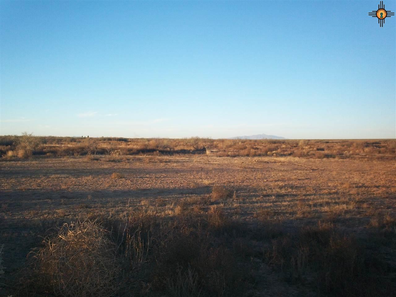 0000 Salvador Road SW, Deming, NM 88030