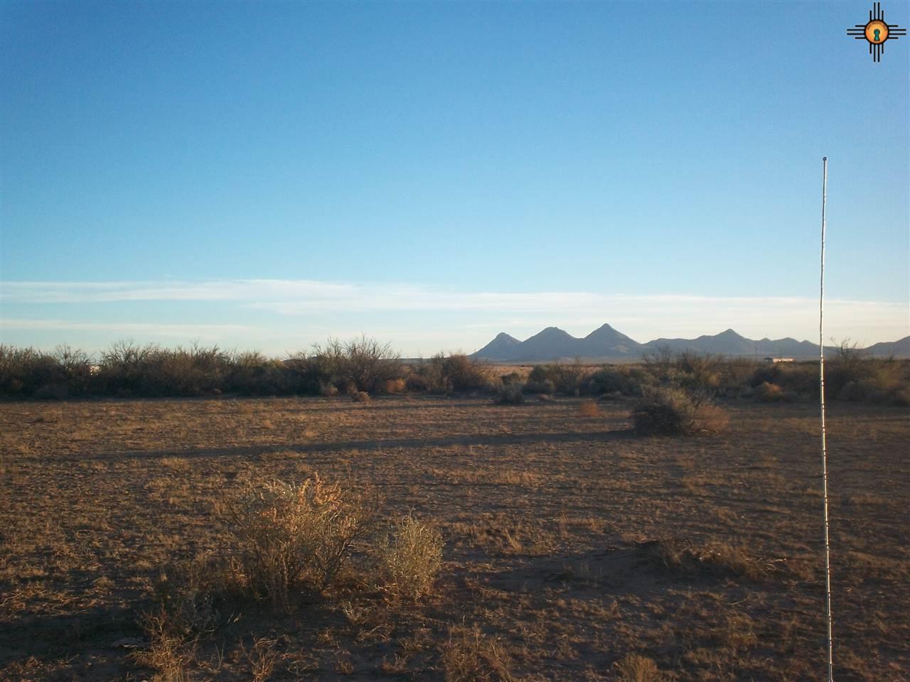 0000 Salvador Road SW, Deming, NM 88030