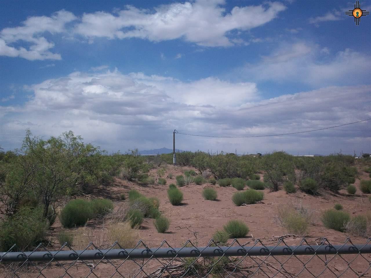 xxx Comanchero Road SW, Deming, NM 88030