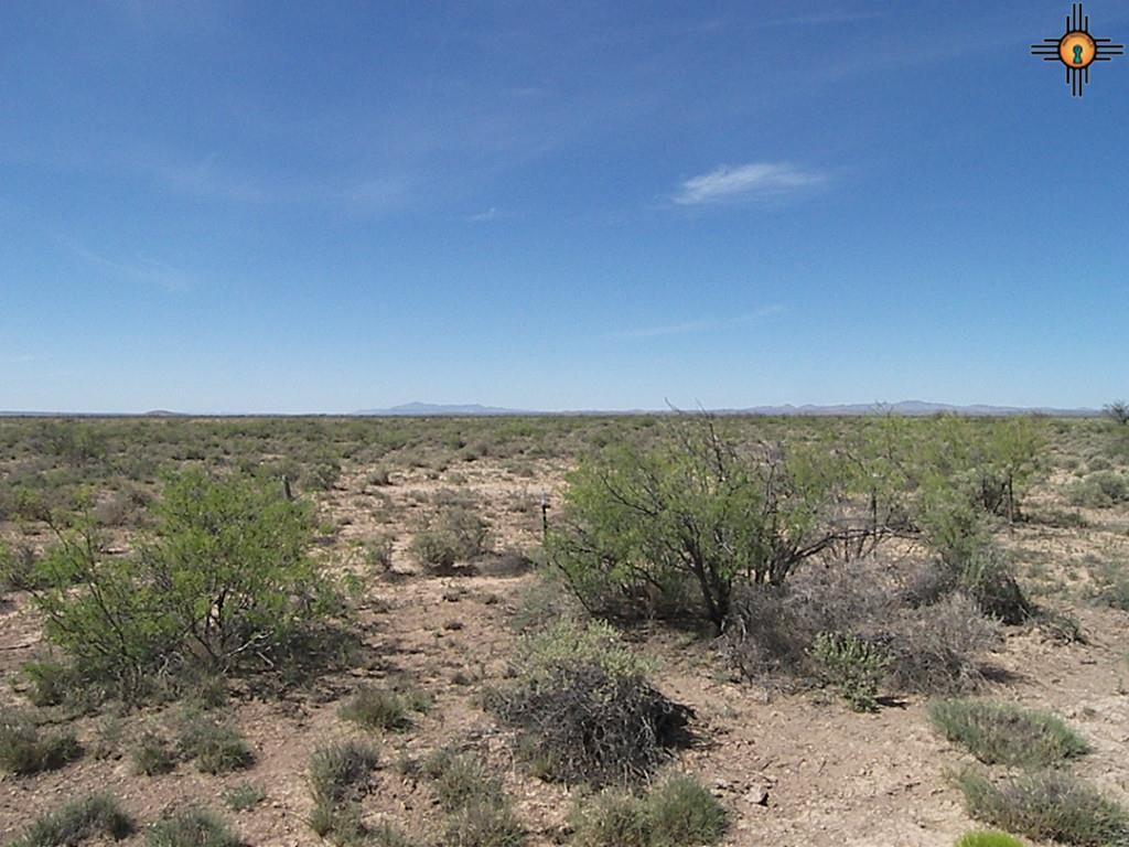 Camino Seis, Deming, NM 88030