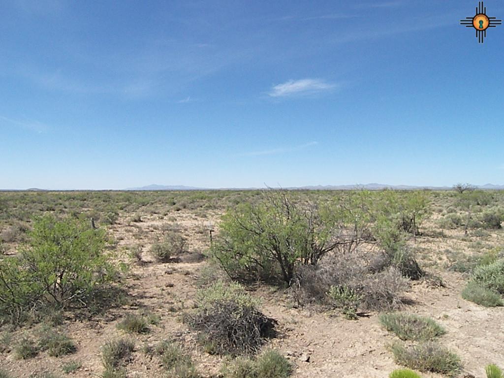 Camino Seis, Deming, NM 88030