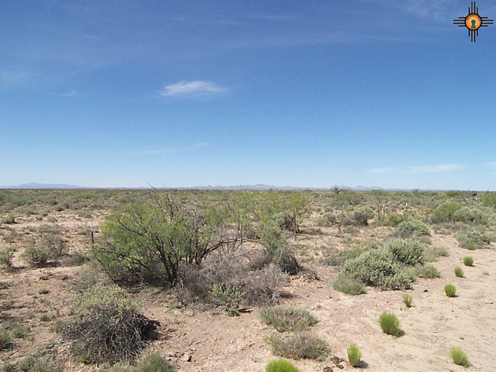 Camino Seis, Deming, NM 88030