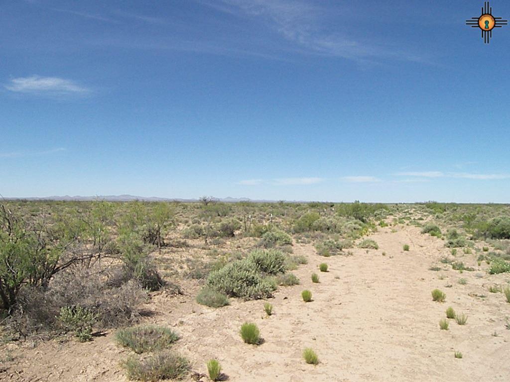 Camino Seis, Deming, NM 88030