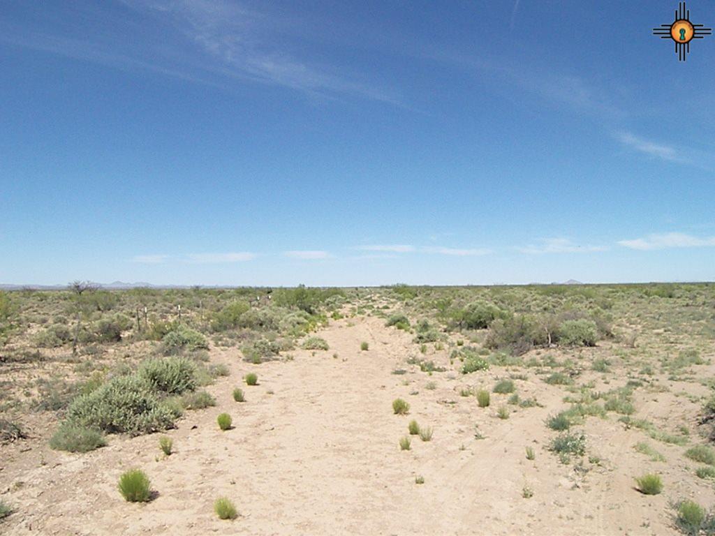 Camino Seis, Deming, NM 88030
