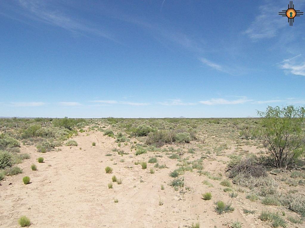 Camino Seis, Deming, NM 88030