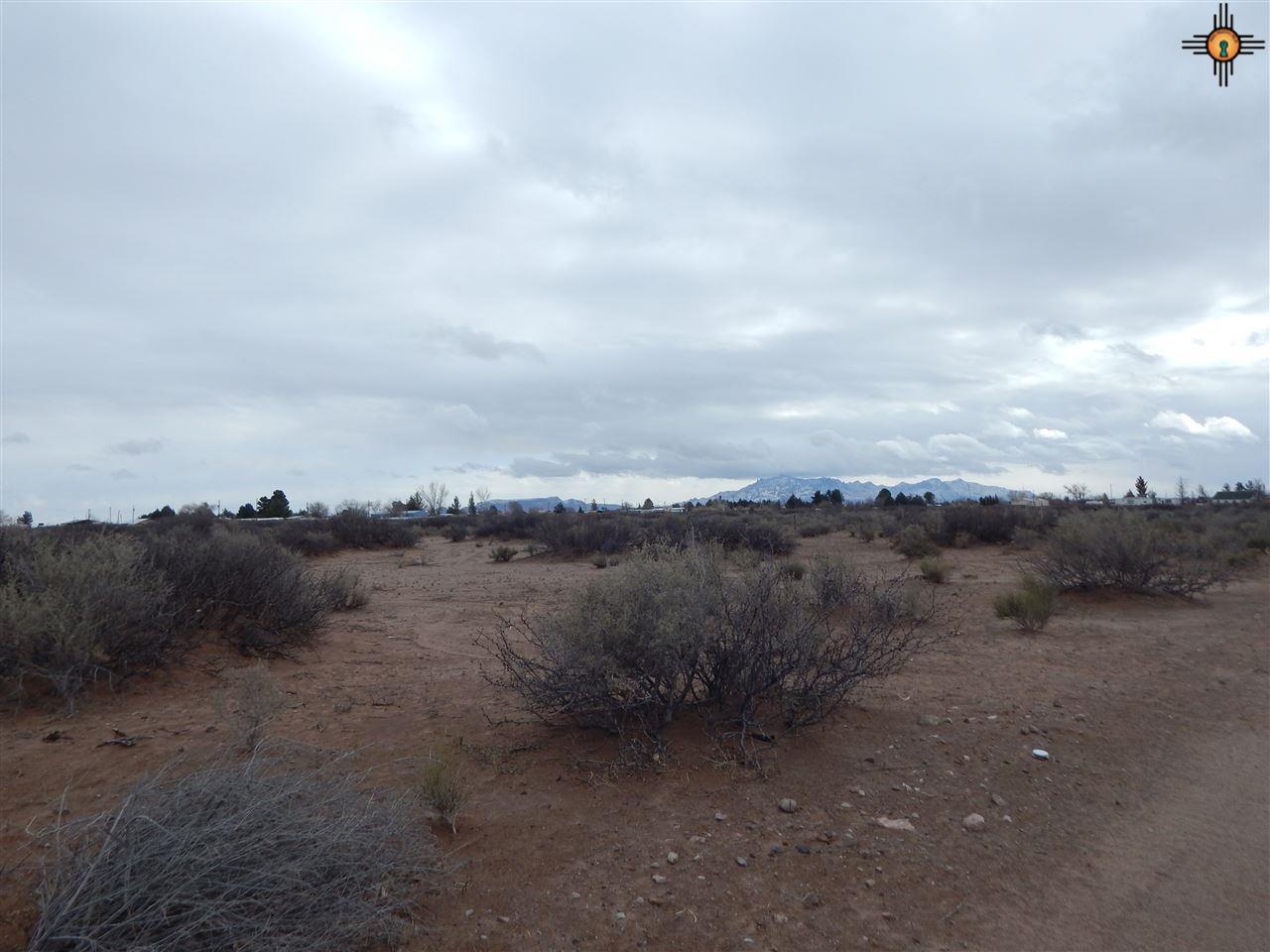 xxx Quarter Horse, Deming, NM 88030