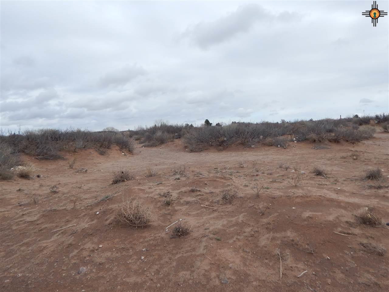 xxx Quarter Horse, Deming, NM 88030