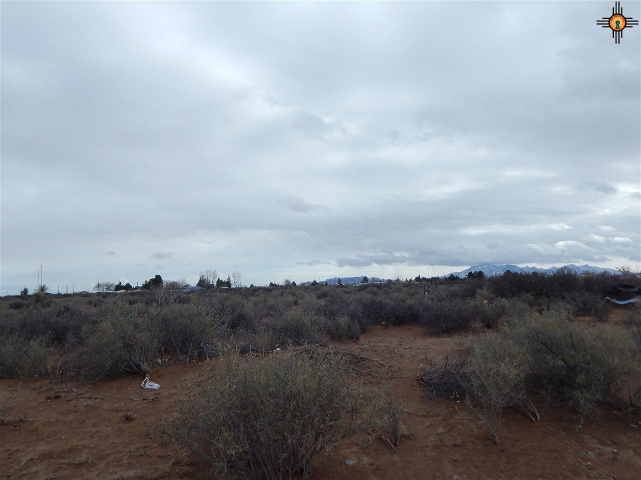 xxx Quarter Horse, Deming, NM 88030