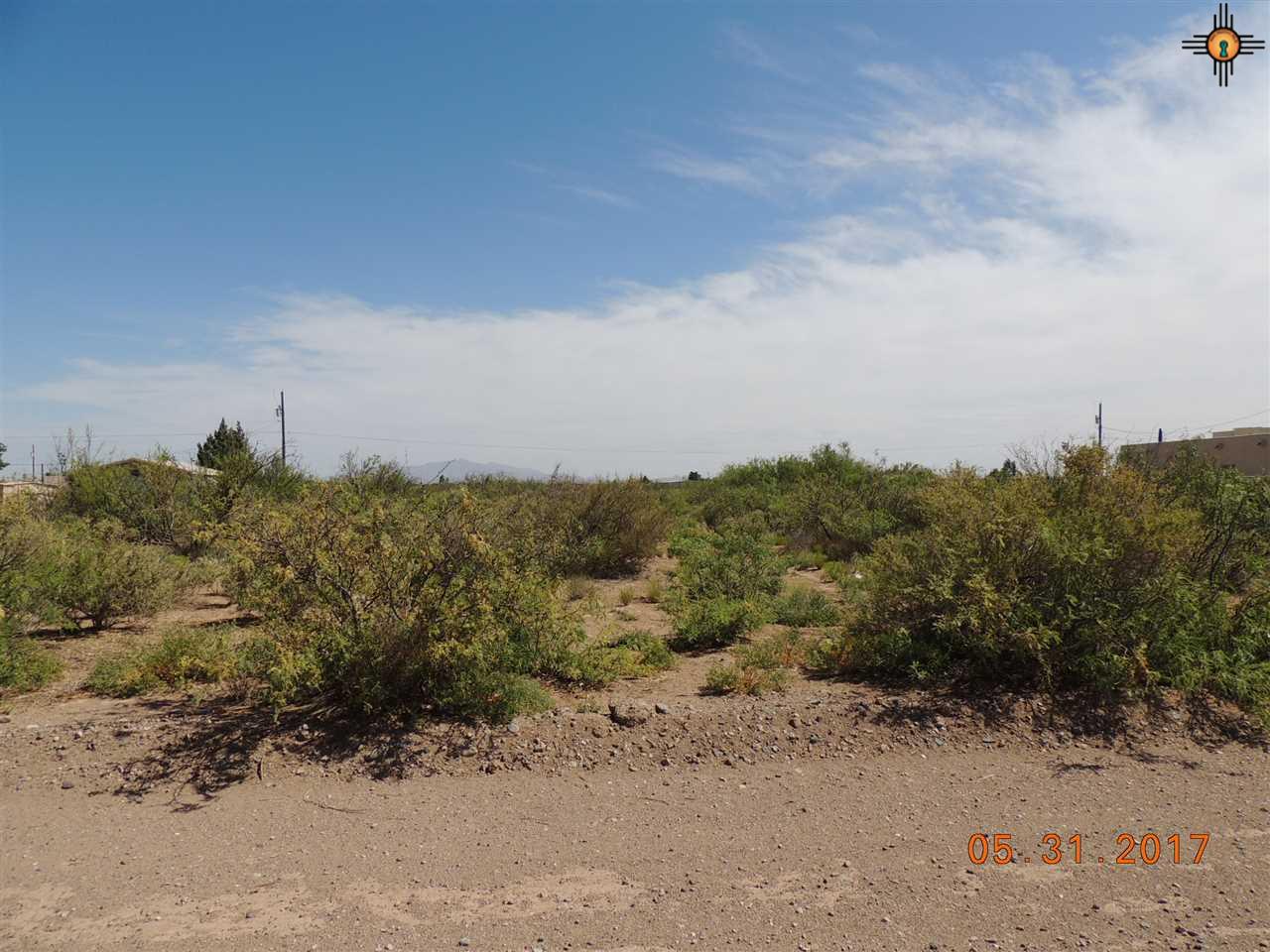 00 Chartley WAy, Deming, NM 88030