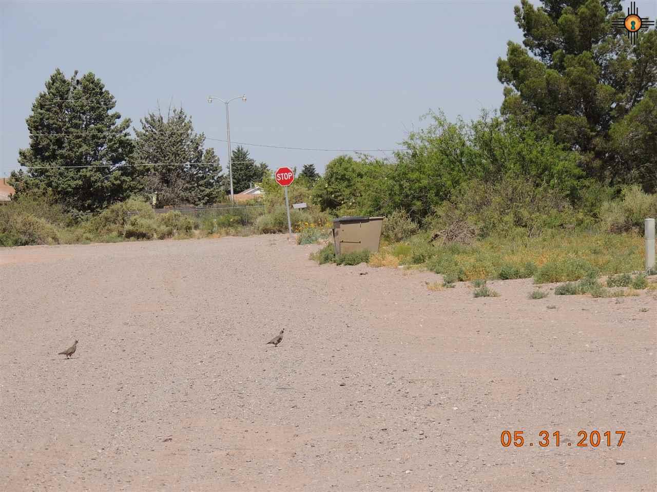 00 Chartley WAy, Deming, NM 88030