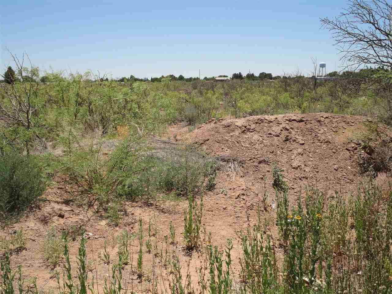 000 SHELLY, Deming, NM 88030