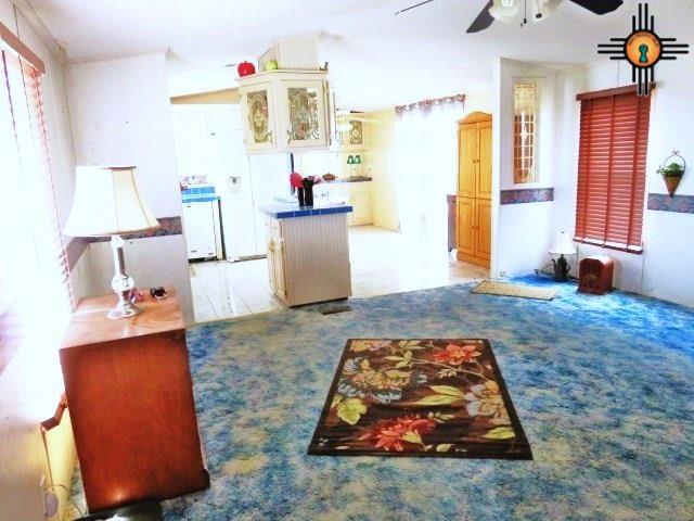 345 Antelope TRL NE, Deming, NM 88030