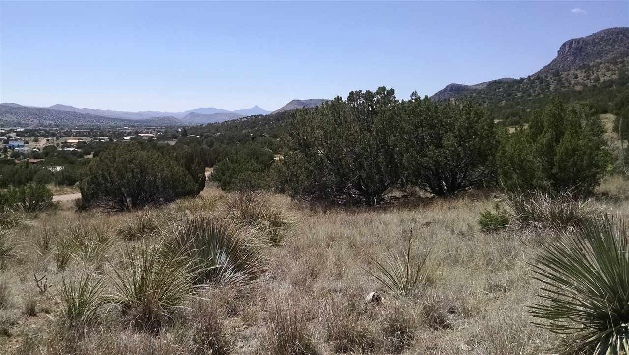 258 Rio Vista, Mimbres, NM 88049