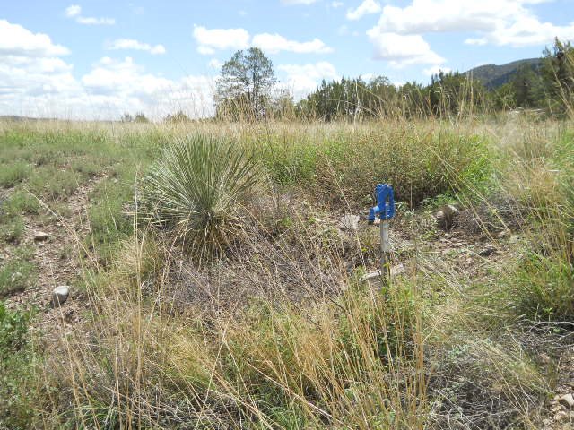 27 CHAPARRAL LANE, Mimbres, NM 88049
