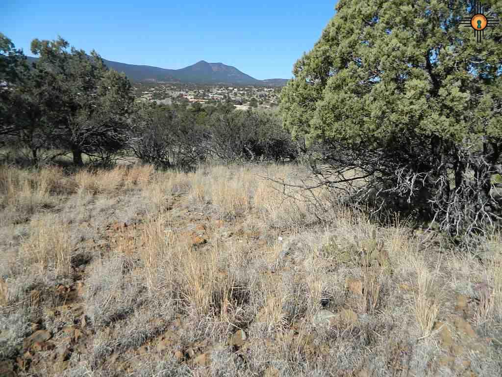 N Swan St, Silver City, NM 88061