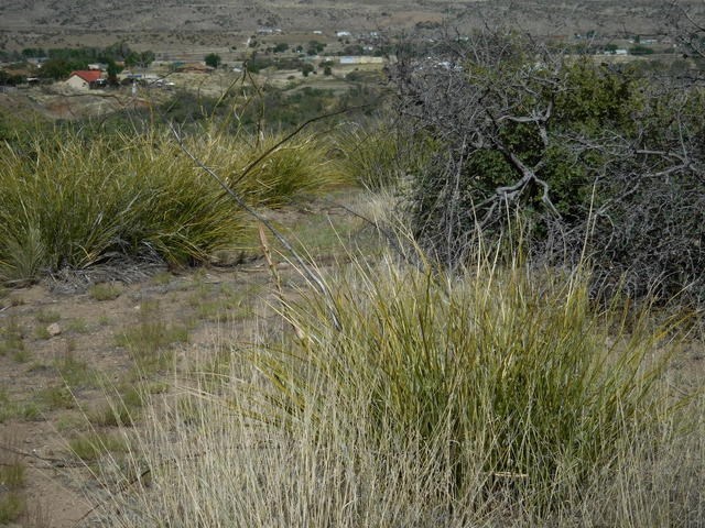 327 Ridge Road, Silver City, NM 88061