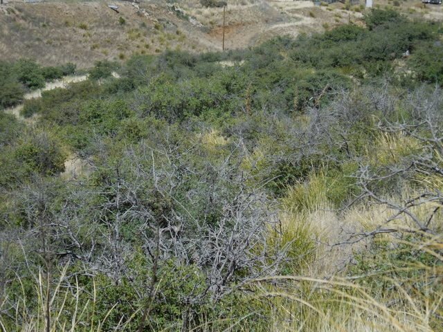 327 Ridge Road, Silver City, NM 88061