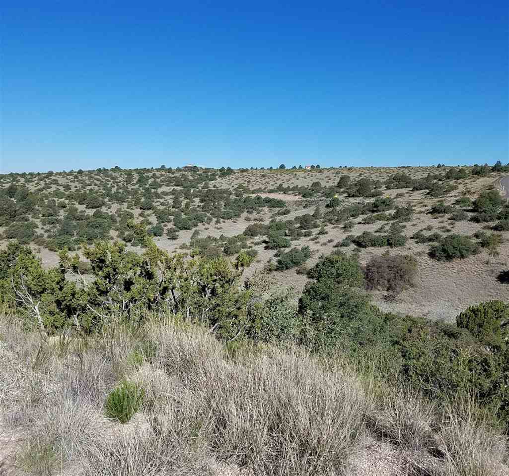 Lot 27 N Wind Canyon Drive, Silver City, NM 88061
