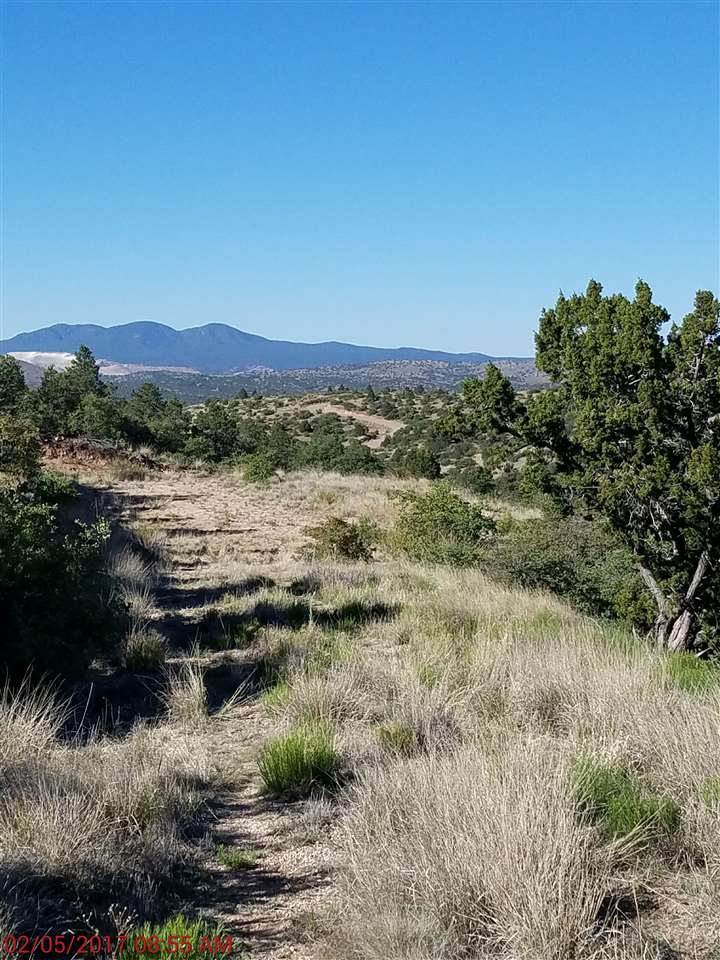 Lot 27 N Wind Canyon Drive, Silver City, NM 88061