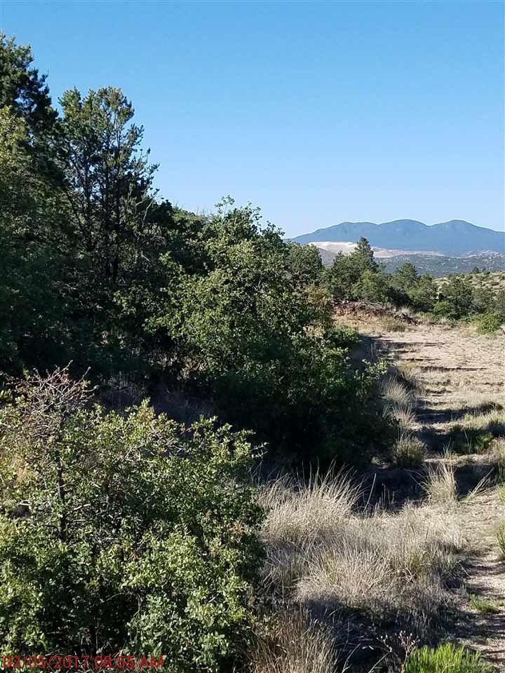 Lot 27 N Wind Canyon Drive, Silver City, NM 88061