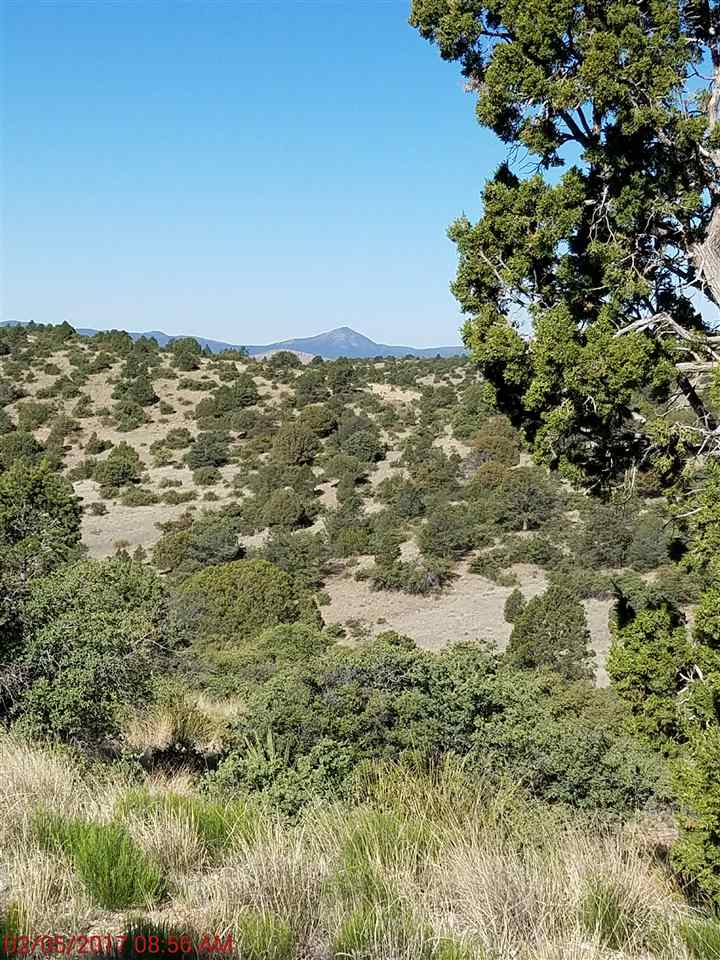 Lot 27 N Wind Canyon Drive, Silver City, NM 88061