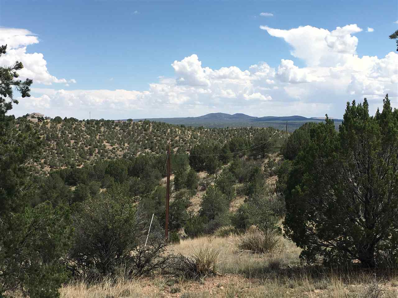 Lot 109A Quail Run, Silver City, NM 88061