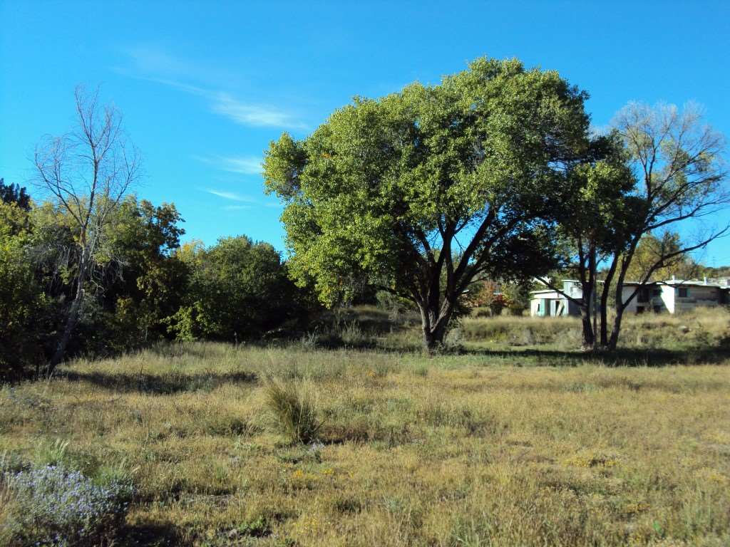 Unkown Elias, Silver City, NM 88061