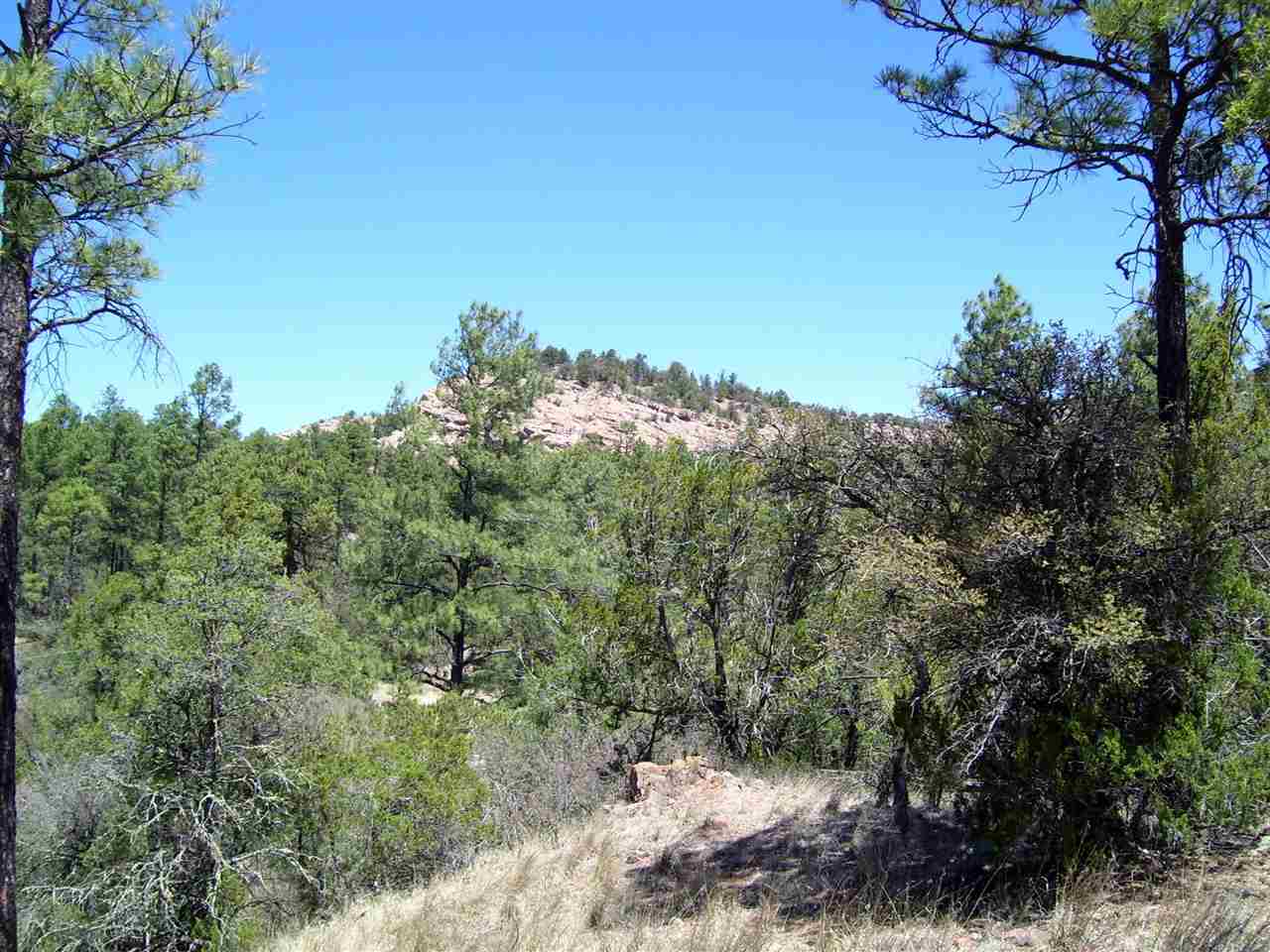 882 Highway 35, Lake Roberts, NM 88061