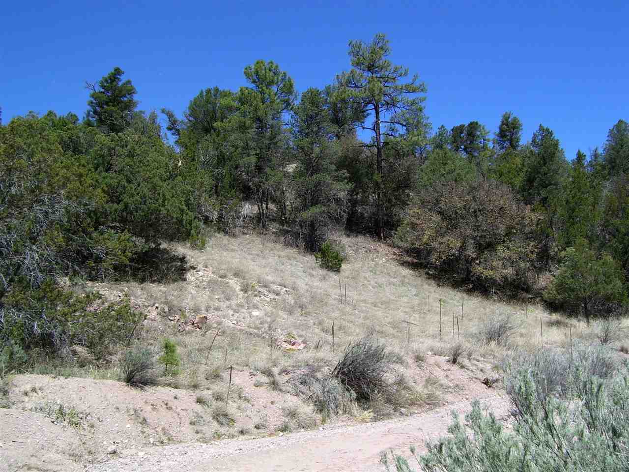 882 Highway 35, Lake Roberts, NM 88061