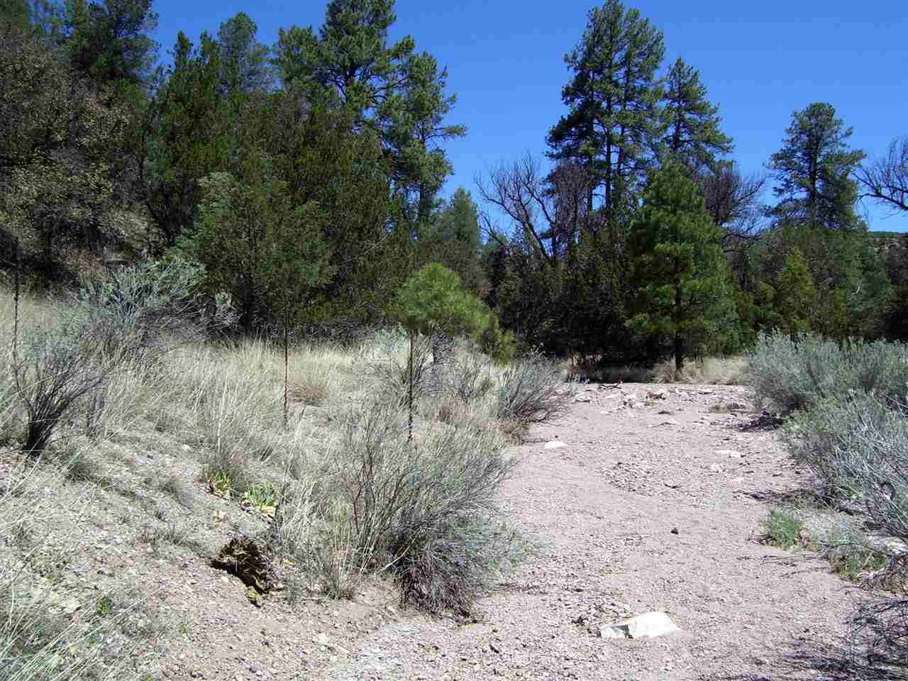 882 Highway 35, Lake Roberts, NM 88061