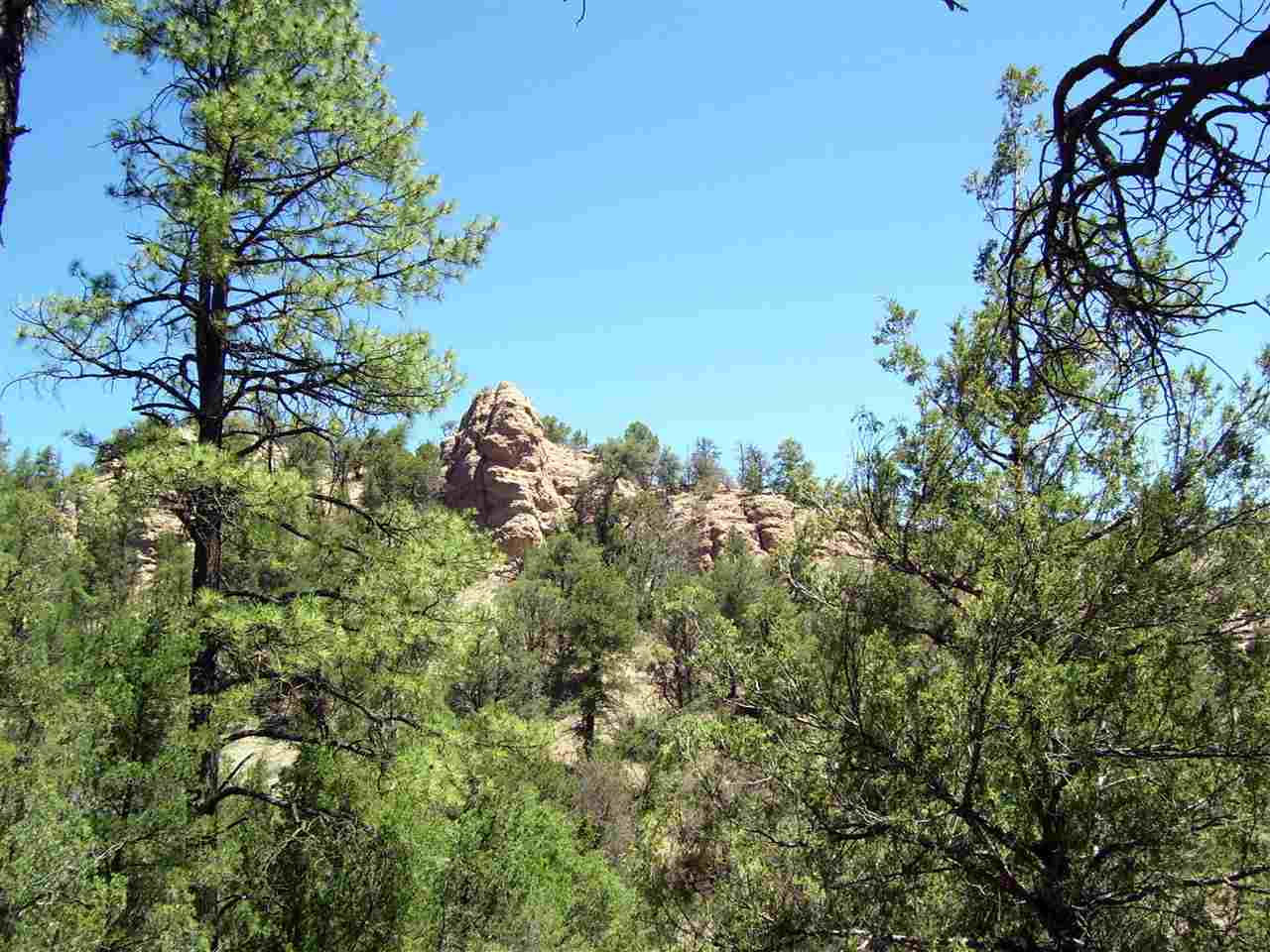 882 Highway 35, Lake Roberts, NM 88061
