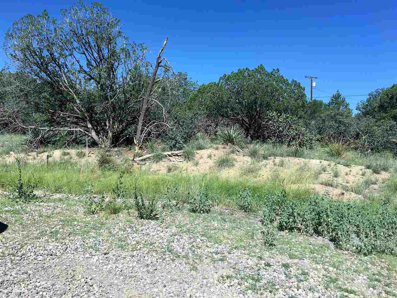 55 Angus, Silver City, NM 88061
