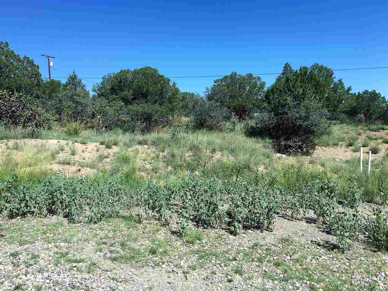 55 Angus, Silver City, NM 88061