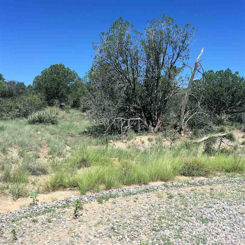 55 Angus, Silver City, NM 88061