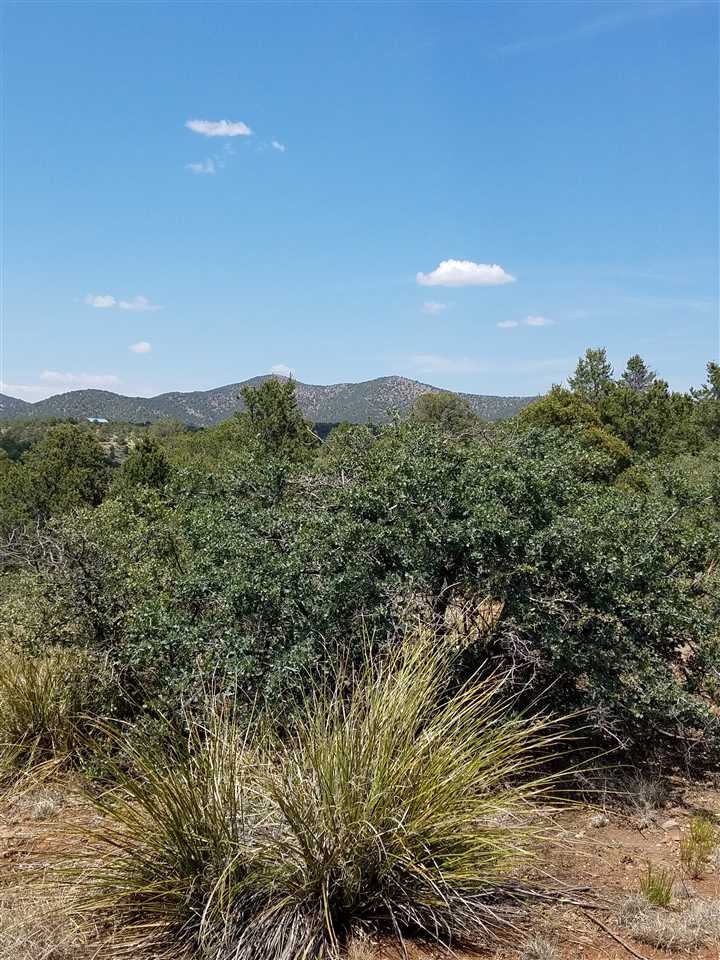 XX Mesita Circle, Silver City, NM 88061