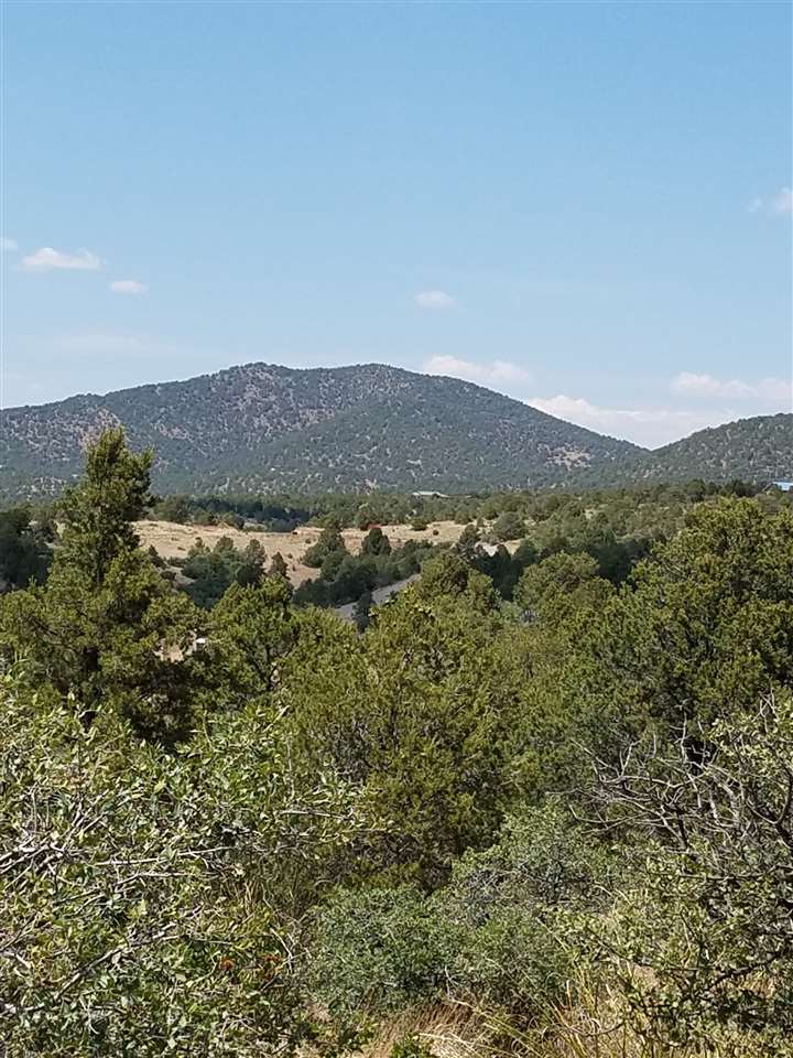 XX Mesita Circle, Silver City, NM 88061